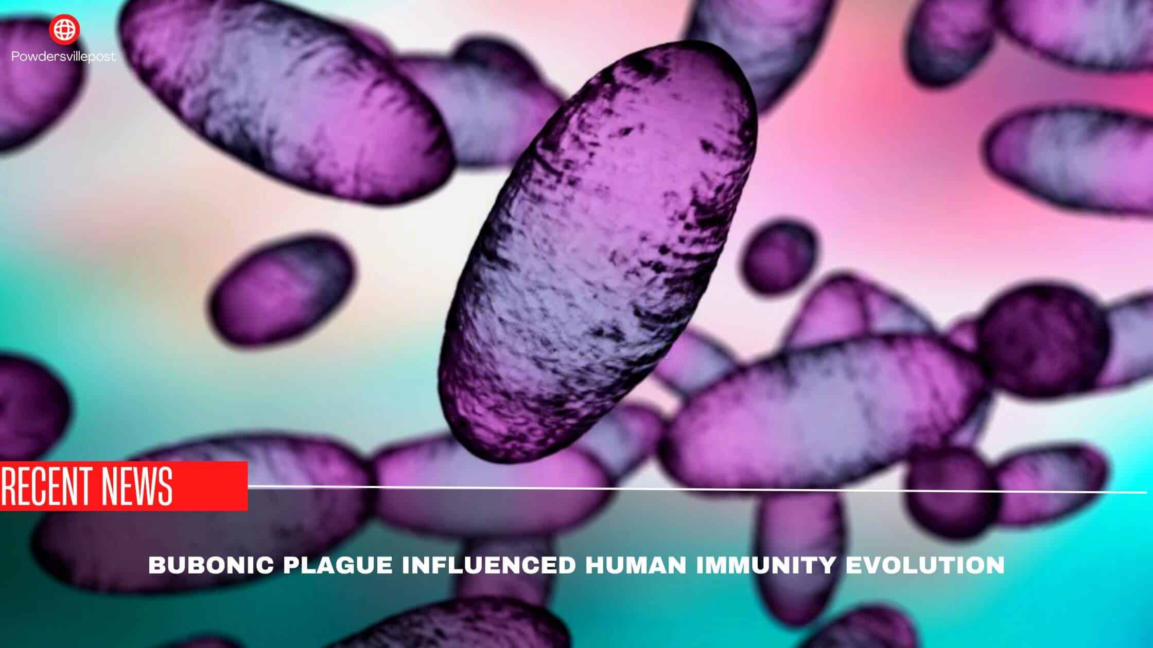 Bubonic Plague Influenced Human Immunity Evolution- Recent Study