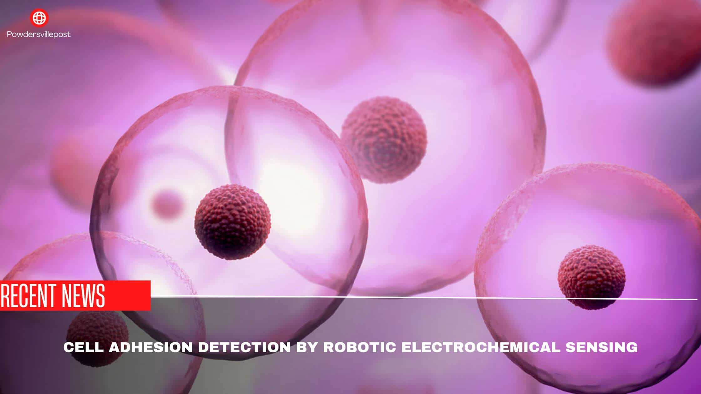 Cell Adhesion Detection By Robotic Electrochemical Sensing