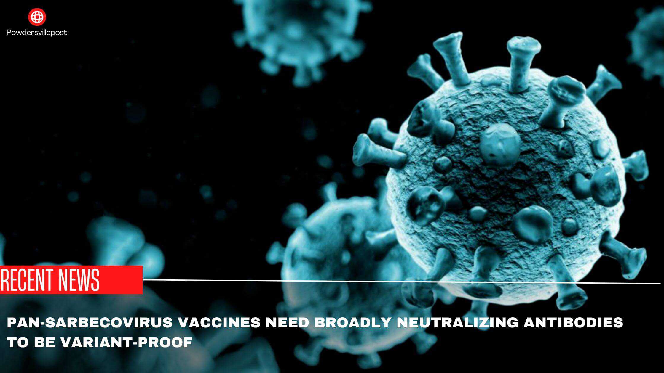 Pan-Sarbecovirus Vaccines Need Broadly Neutralizing Antibodies To Be Variant-Proof