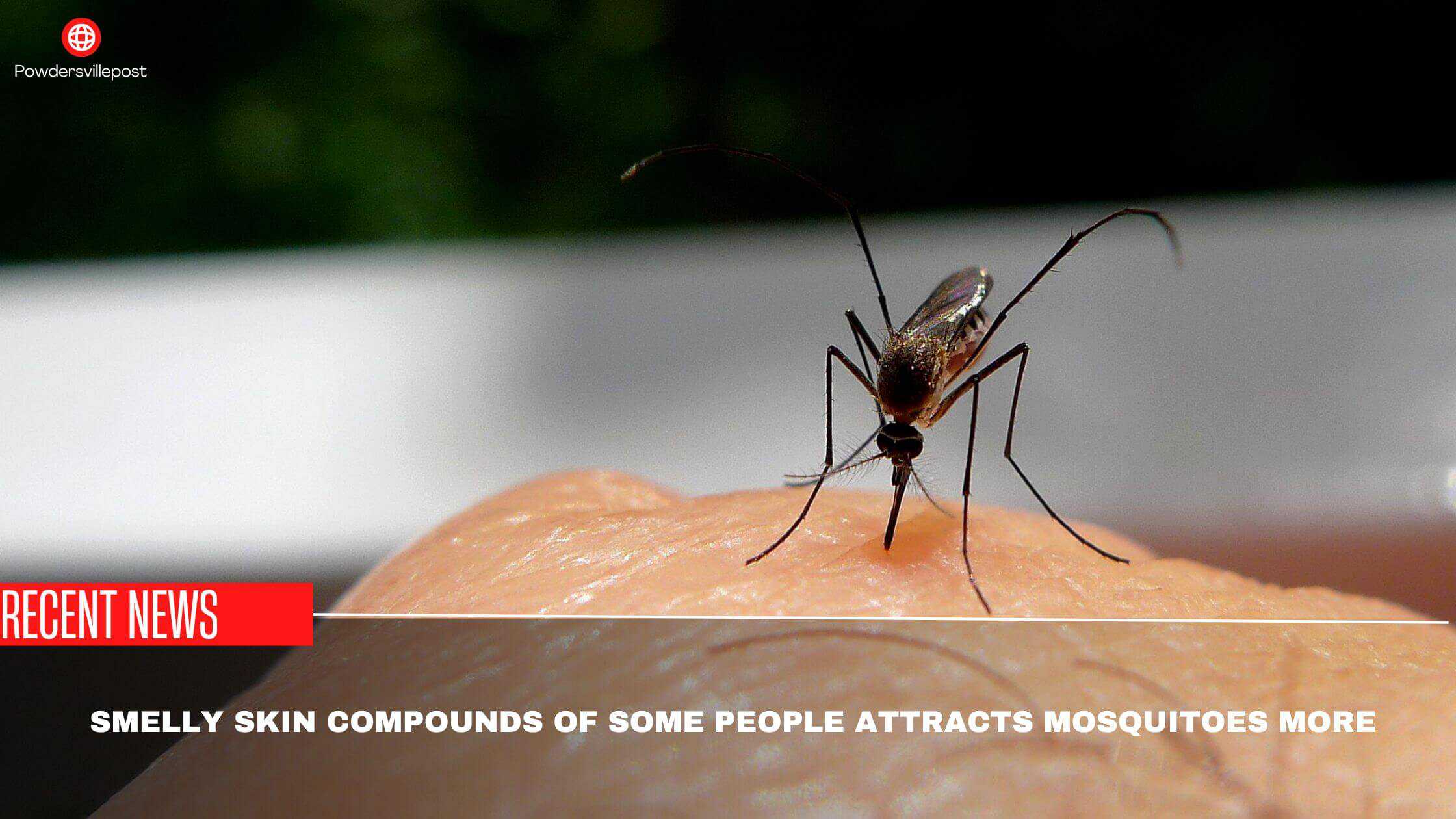 Smelly Skin Compounds Of Some People Attracts Mosquitoes More