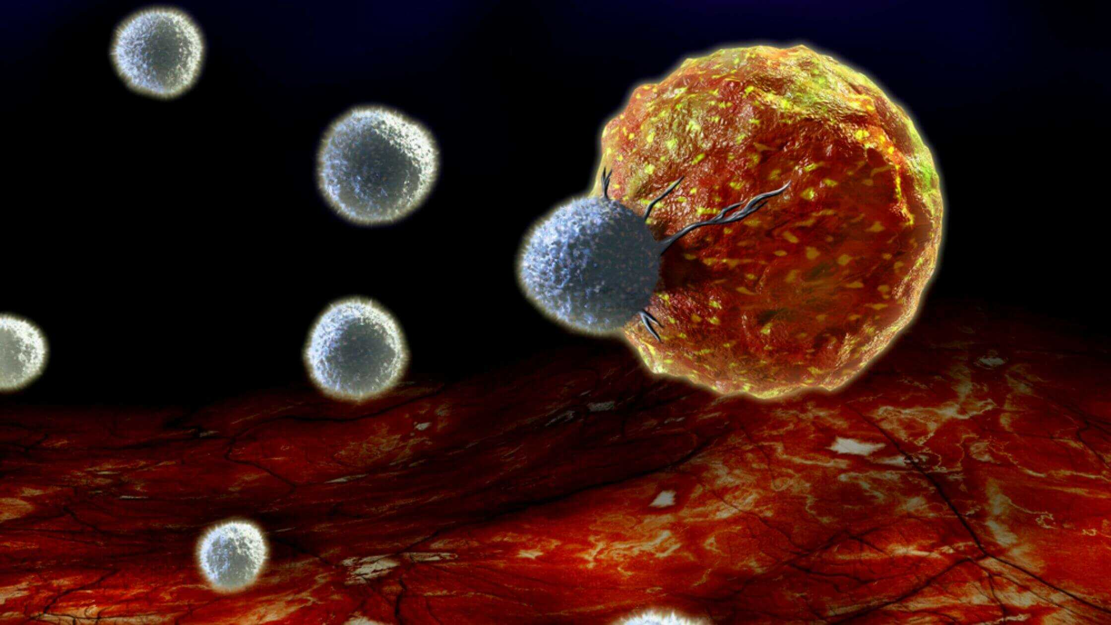 The Recently Found Method Speeds Up Immune Cells