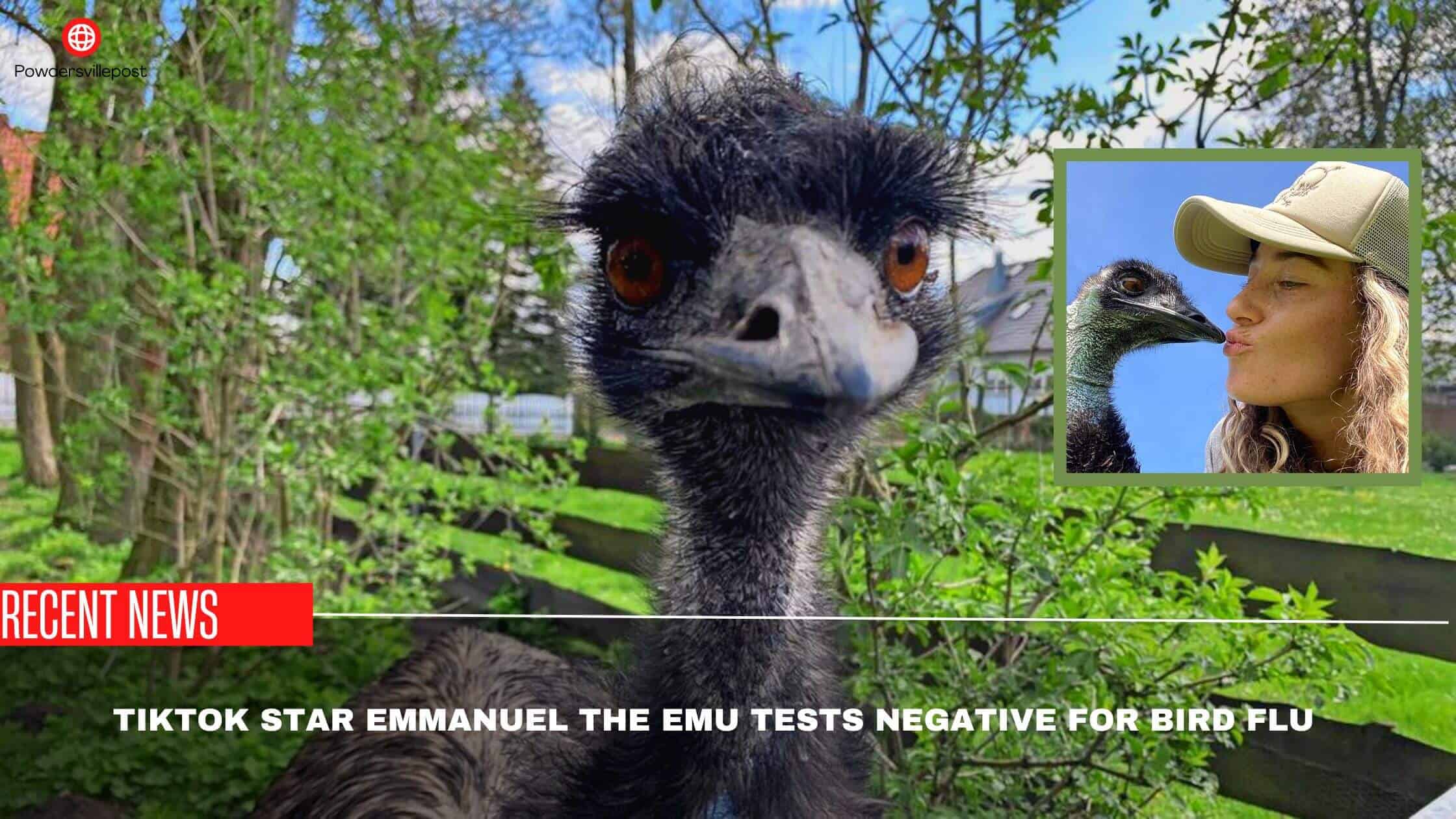 TikTok Star Emmanuel The Emu Tests Negative For Bird Flu