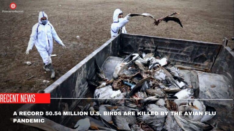 A Record 50.54 Million U.S. Birds Are Killed By The Avian Flu Pandemic!