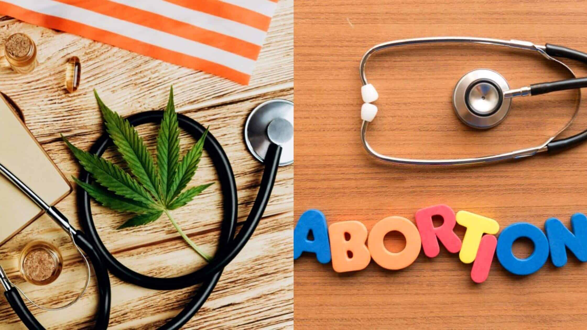 How Abortion And Marijuana Ballot Measures  Fared By State 