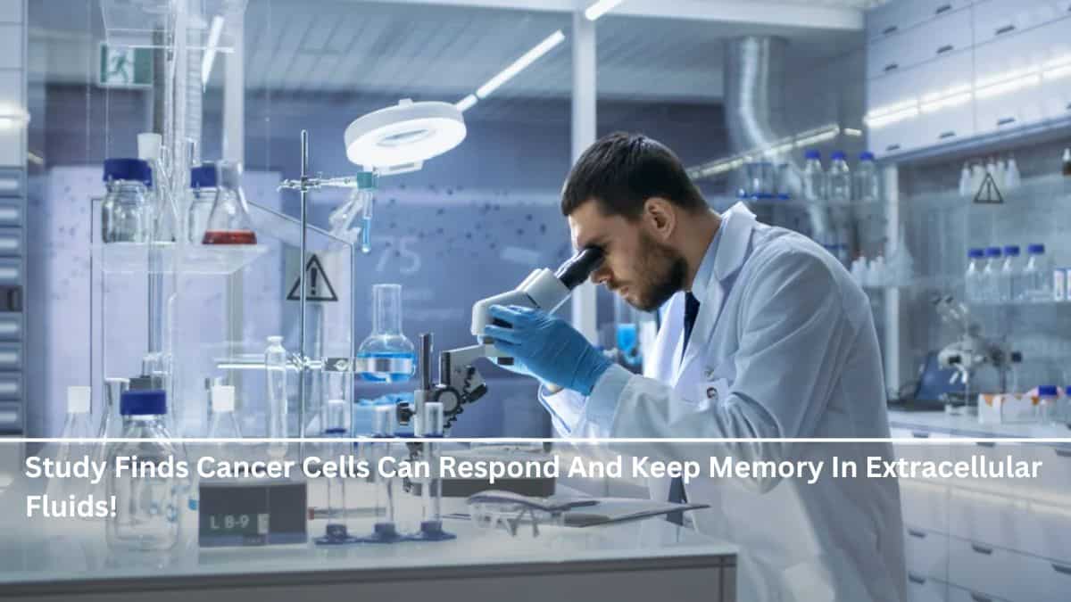 Study Finds Cancer Cells Can Respond And Keep Memory In Extracellular Fluids!