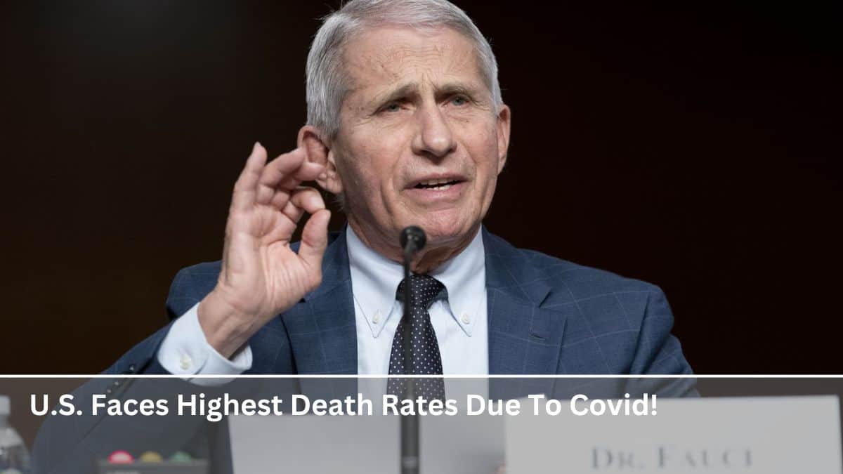 U.S. Faces Highest Death Rates Due To Covid!