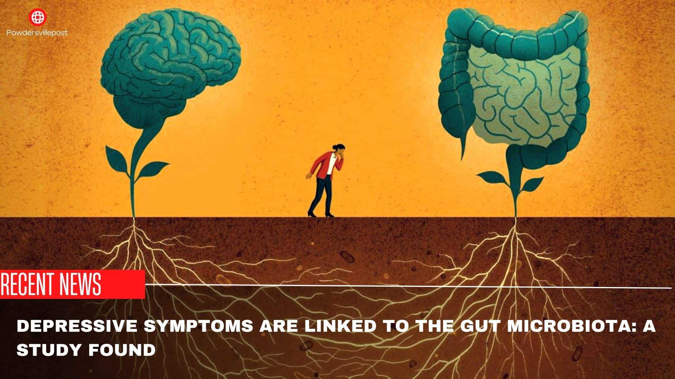 Depressive Symptoms Are Linked To The Gut Microbiota A Study Found