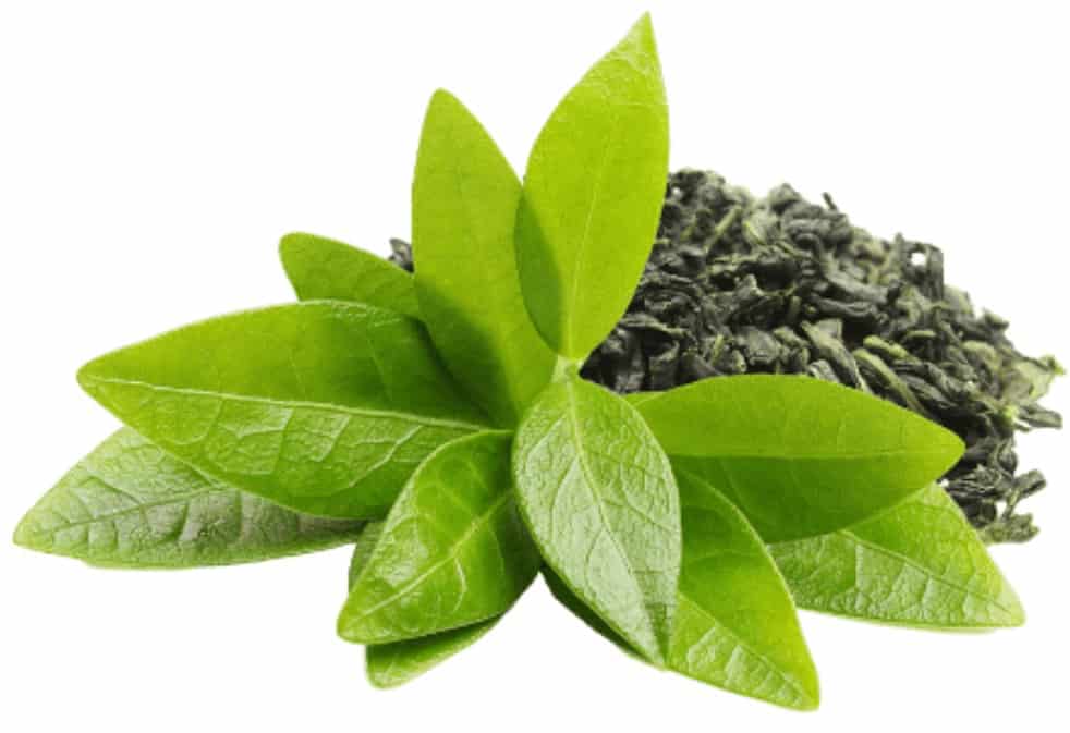 Keto Smart Ingredient Green Tea