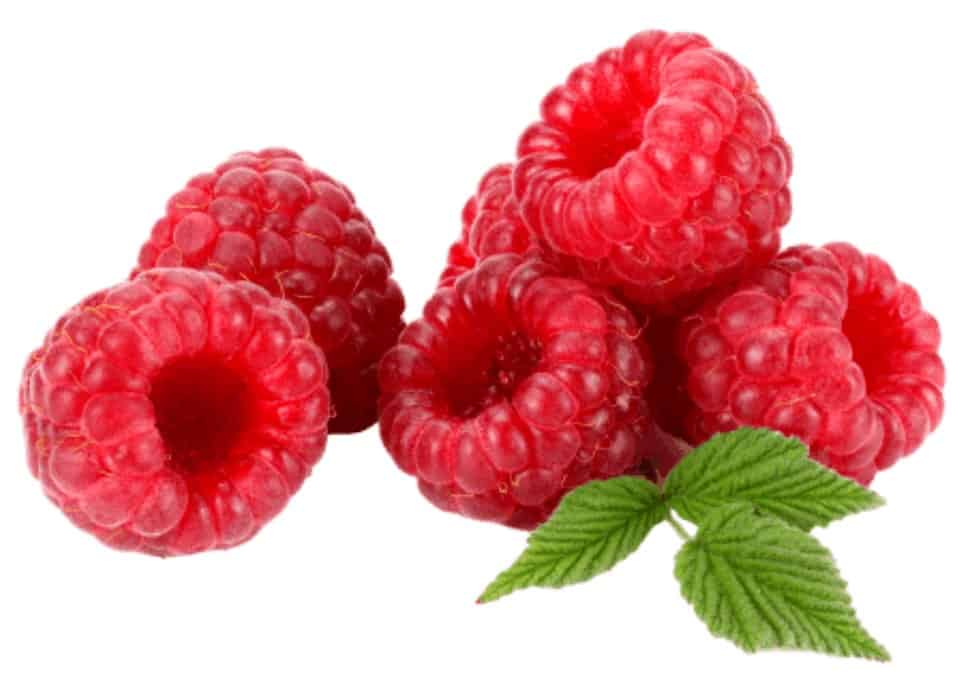Keto Smart Ingredient Raspberries