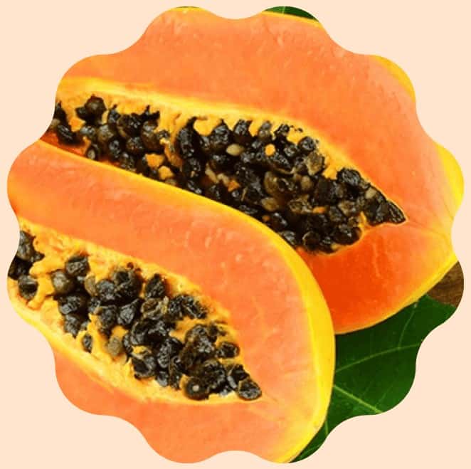 NuviaLab Flex Ingredient Papain from Papaya fruit