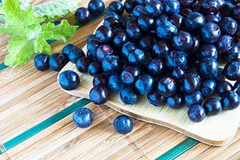 TheyaVue Ingredient Bilberry Extract