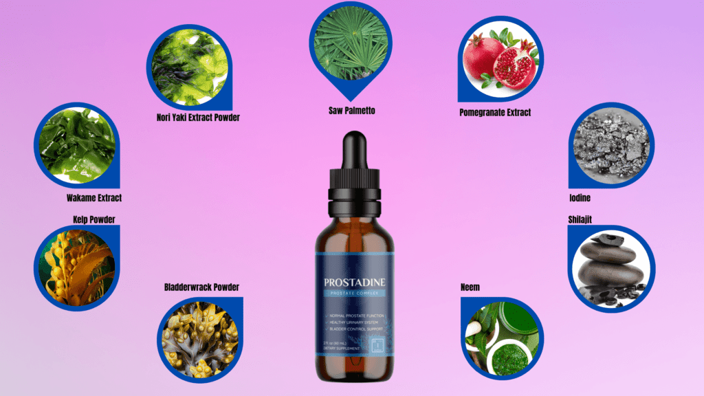 Prostadine Ingredients