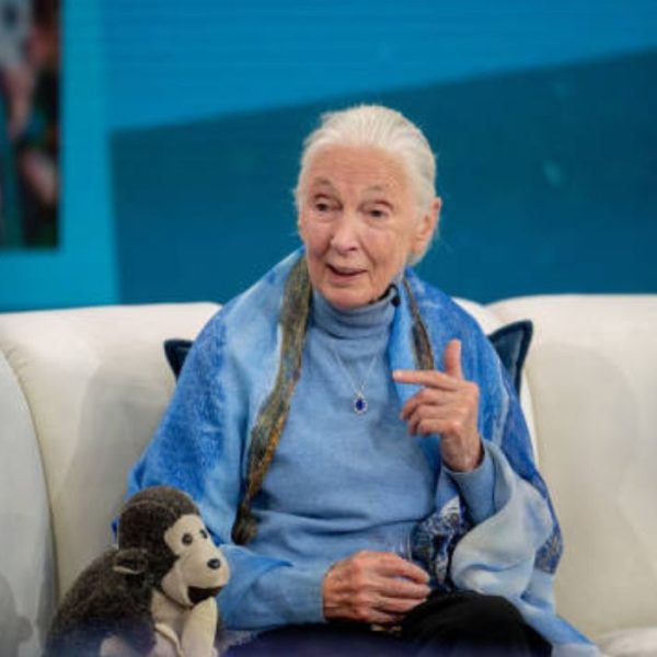 Jane Goodall: A Life of Empathy, Curiosity and Courage
